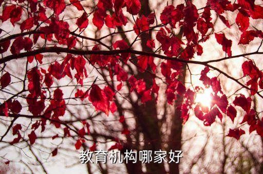 教育機構(gòu)哪家好