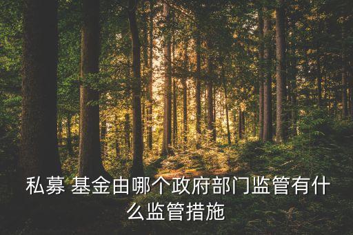  私募 基金由哪個(gè)政府部門(mén)監(jiān)管有什么監(jiān)管措施