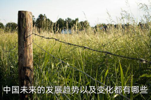 中國(guó)未來的發(fā)展趨勢(shì)以及變化都有哪些