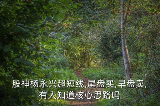 股神楊永興超短線,尾盤(pán)買,早盤(pán)賣,有人知道核心思路嗎