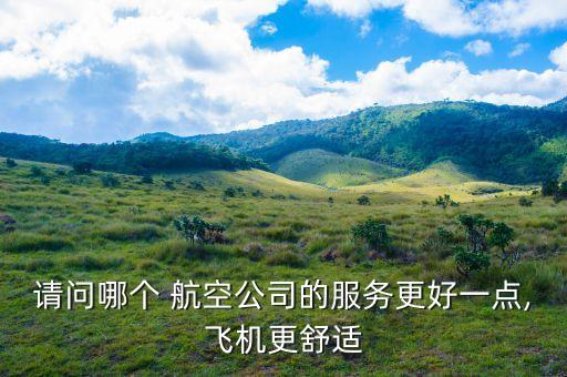 請問哪個 航空公司的服務(wù)更好一點(diǎn),飛機(jī)更舒適