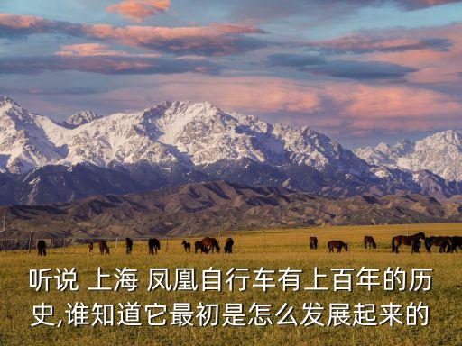 聽(tīng)說(shuō) 上海 鳳凰自行車(chē)有上百年的歷史,誰(shuí)知道它最初是怎么發(fā)展起來(lái)的