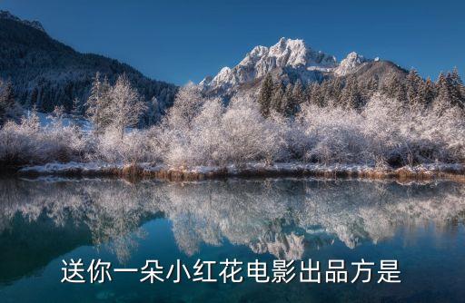 儒意影業(yè)股票代碼,開(kāi)心麻花影業(yè)股票代碼