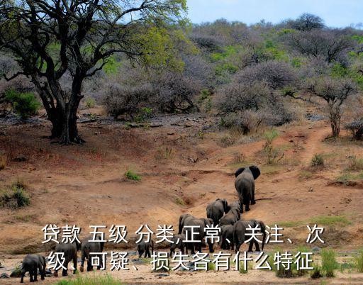 貸款 五級(jí) 分類,正常、關(guān)注、次級(jí)、可疑、損失各有什么特征