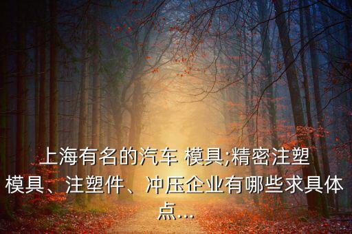  上海有名的汽車 模具;精密注塑 模具、注塑件、沖壓企業(yè)有哪些求具體點...