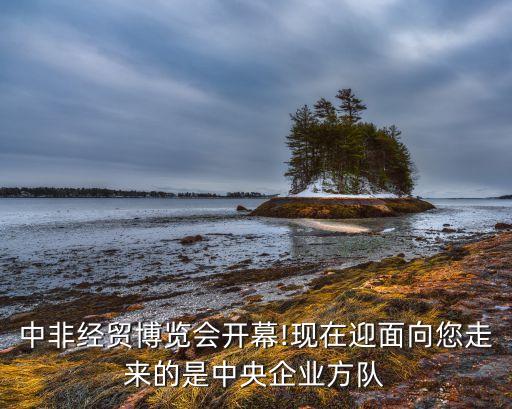 中非經(jīng)貿(mào)博覽會(huì)開幕!現(xiàn)在迎面向您走來(lái)的是中央企業(yè)方隊(duì)