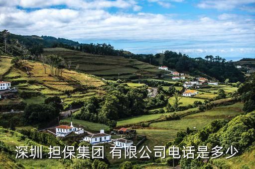 深圳 擔(dān)保集團 有限公司電話是多少
