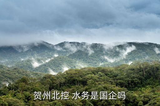 北京京禹石水務(wù)有限公司,北京水務(wù)咨詢(xún)有限公司