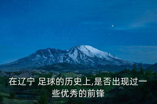 沈陽(yáng)城市公用集團(tuán)足球