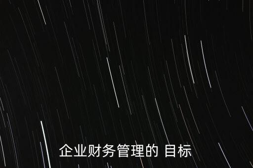 企業(yè)財務(wù)管理的 目標