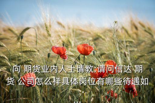 期貨公司團(tuán)隊(duì),錢(qián)多多期貨團(tuán)隊(duì)