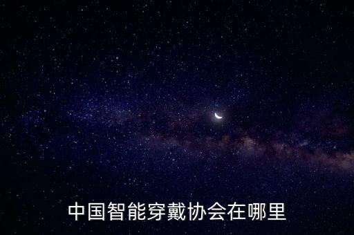 藍(lán)海國際控股有限公司,深圳中電藍(lán)?？毓捎邢薰靖笨偨?jīng)理