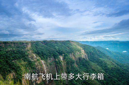 航空公司旅客運(yùn)輸量,中國航空公司旅客運(yùn)輸量排名