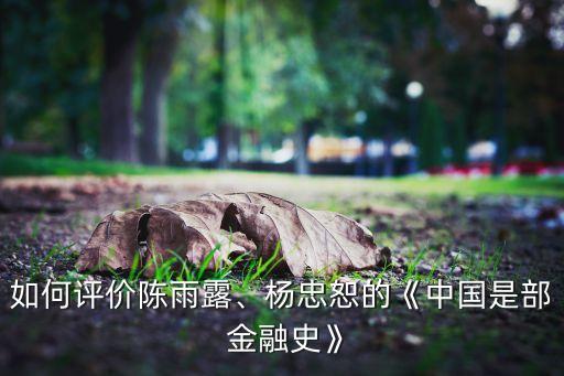 如何評價陳雨露、楊忠恕的《中國是部 金融史》