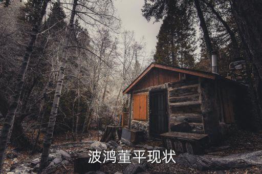 上海波鴻集團有限公司,廣元波鴻汽車銷售服務有限公司
