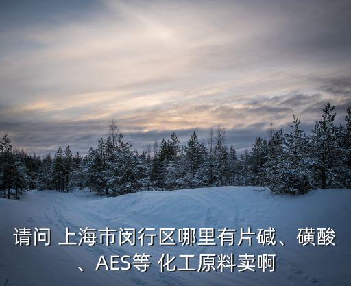 請(qǐng)問(wèn) 上海市閔行區(qū)哪里有片堿、磺酸、AES等 化工原料賣啊
