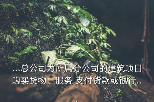 ...總公司為所屬分公司的建筑項目購買貨物、服務 支付貨款或銀行...