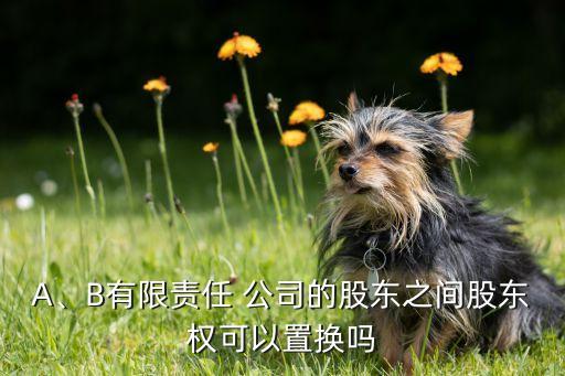 A、B有限責(zé)任 公司的股東之間股東權(quán)可以置換嗎