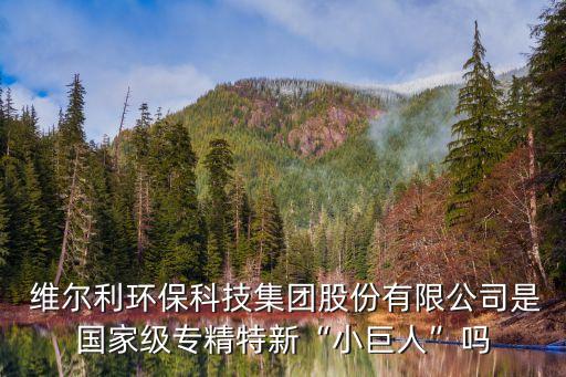  維爾利環(huán)?？萍技瘓F股份有限公司是國家級專精特新“小巨人”嗎