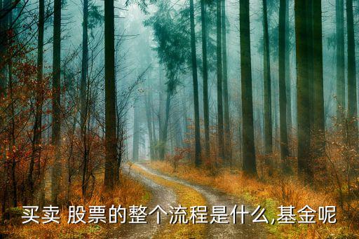 買(mǎi)賣(mài) 股票的整個(gè)流程是什么,基金呢
