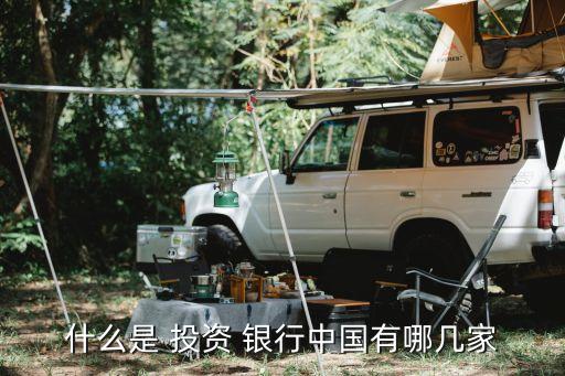 什么是 投資 銀行中國(guó)有哪幾家