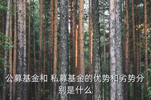 公募基金和 私募基金的優(yōu)勢(shì)和劣勢(shì)分別是什么