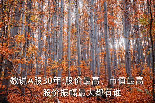 數說A股30年:股價最高、市值最高、股價振幅最大都有誰
