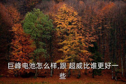 巨峰電池怎么樣,跟 超威比誰(shuí)更好一些