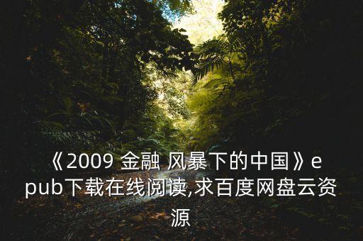 《2009 金融 風暴下的中國》epub下載在線閱讀,求百度網盤云資源