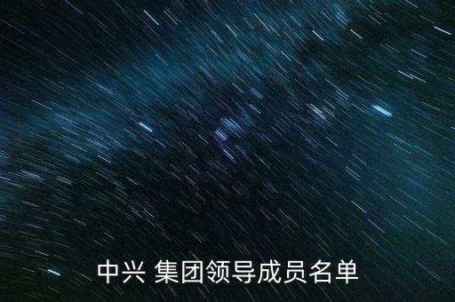 中興 集團領導成員名單