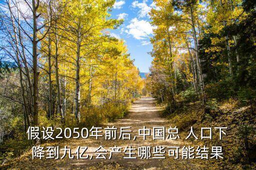 假設(shè)2050年前后,中國總 人口下降到九億,會(huì)產(chǎn)生哪些可能結(jié)果