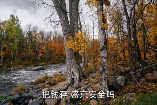 把錢(qián)存 盛京安全嗎