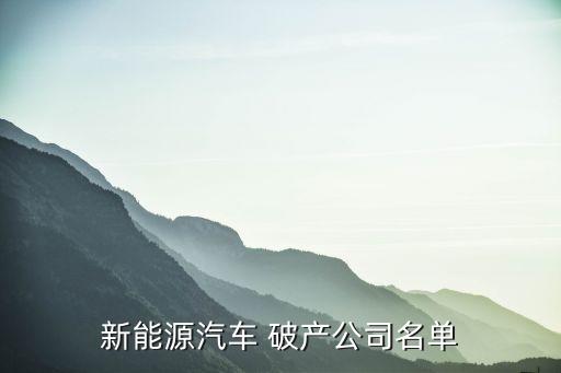 2013年中國破產企業(yè),中國破產企業(yè)最新消息