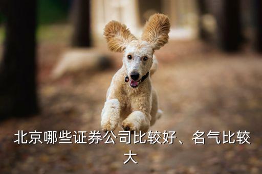  北京哪些證券公司比較好、名氣比較大