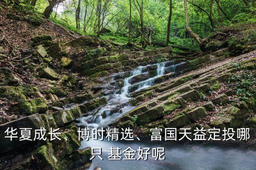 華夏成長(zhǎng)、博時(shí)精選、富國(guó)天益定投哪只 基金好呢