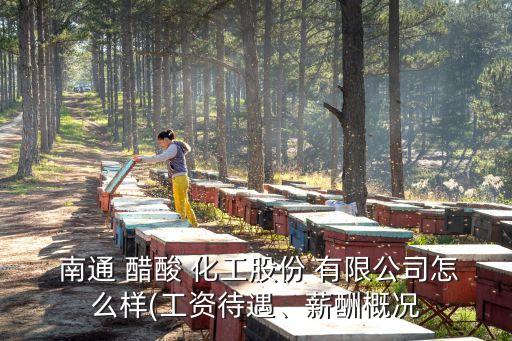  南通 醋酸 化工股份 有限公司怎么樣(工資待遇、薪酬概況