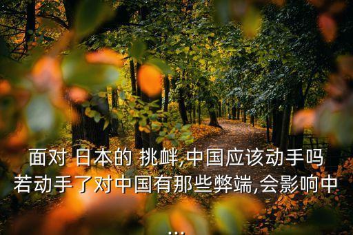 面對(duì) 日本的 挑釁,中國應(yīng)該動(dòng)手嗎若動(dòng)手了對(duì)中國有那些弊端,會(huì)影響中...
