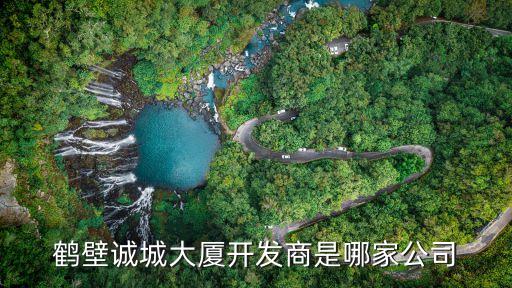 鶴壁誠(chéng)城大廈開發(fā)商是哪家公司