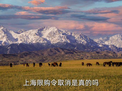 上海市房地產(chǎn)最新調控政策,2023年房地產(chǎn)調控政策新規(guī)定