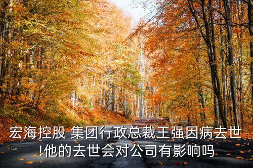 宏?？毓?集團(tuán)行政總裁王強(qiáng)因病去世!他的去世會(huì)對(duì)公司有影響嗎