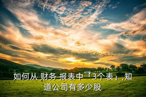 如何從 財(cái)務(wù) 報(bào)表中「3個(gè)表」,知道公司有多少股