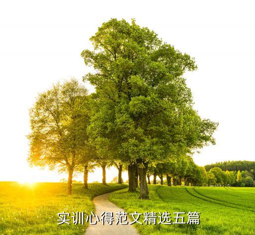 公司金融實訓總結(jié),大學生金融實訓報告總結(jié)