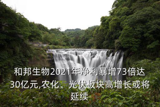 和邦生物2021年凈利暴增73倍達30億元,農化、光伏板塊高增長或將延續(xù)