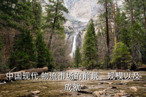 中國(guó)現(xiàn)代 物流市場(chǎng)的前景、規(guī)模以及成就
