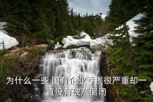 為什么一些 國有企業(yè)虧損很嚴重卻一直沒有破產倒閉