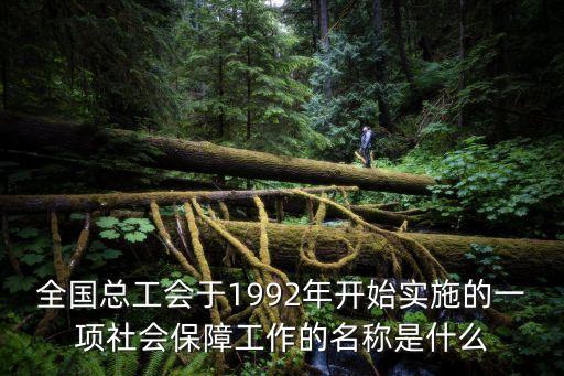 全國總工會(huì)于1992年開始實(shí)施的一項(xiàng)社會(huì)保障工作的名稱是什么
