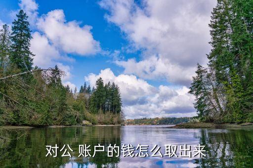 對(duì)公 賬戶(hù)的錢(qián)怎么取出來(lái)
