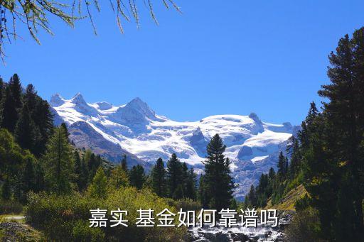 嘉實騰訊大數(shù)據基金怎樣,騰訊嘉實基金怎么樣