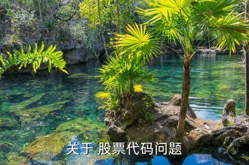 關(guān)于 股票代碼問(wèn)題