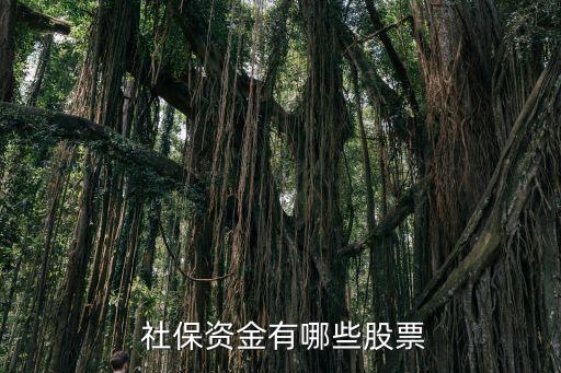 全國社?；鸾M合